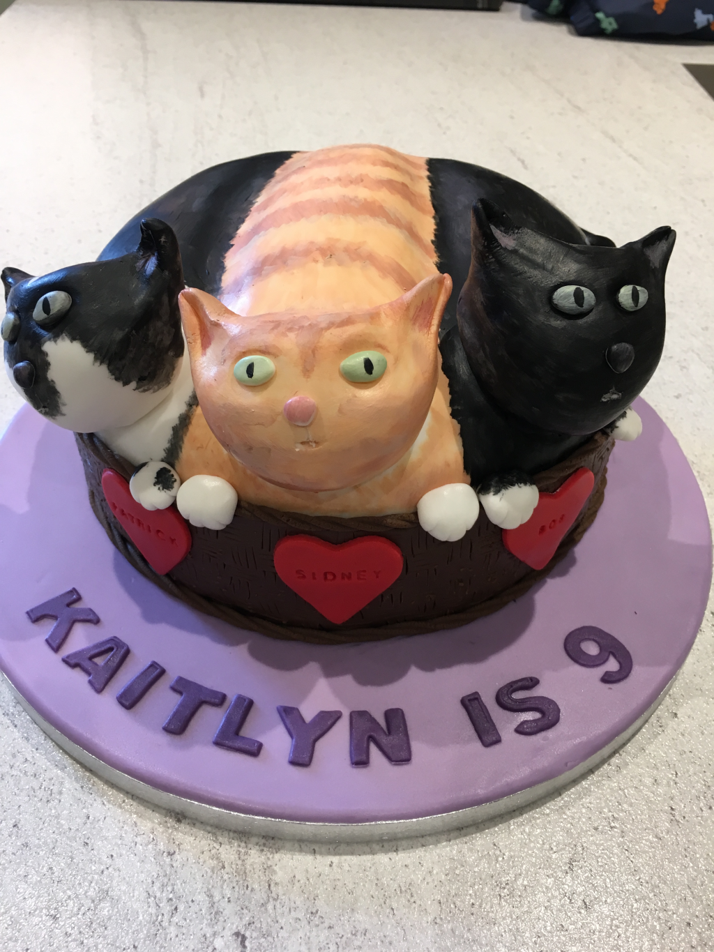 Cat-cake