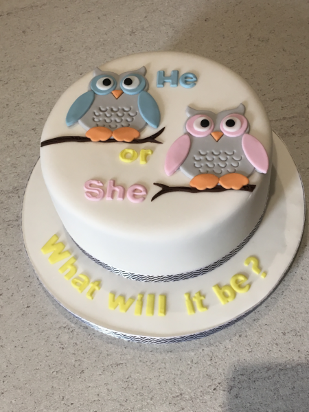 Owl-Gender-Reveal-cake
