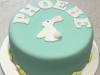 Rabbit-naming-day-cake